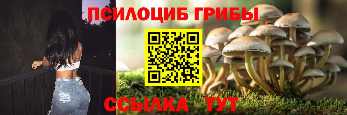 Псилоцибиновые грибы мухоморы Кулебаки